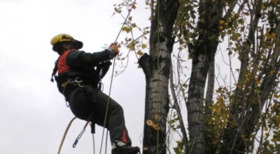 LAVORI DI TAGLIO E DERAMIFICAZIONE PIANTE SOTTOSTANTI LINEE ELETTRICHE AT/MT/BT